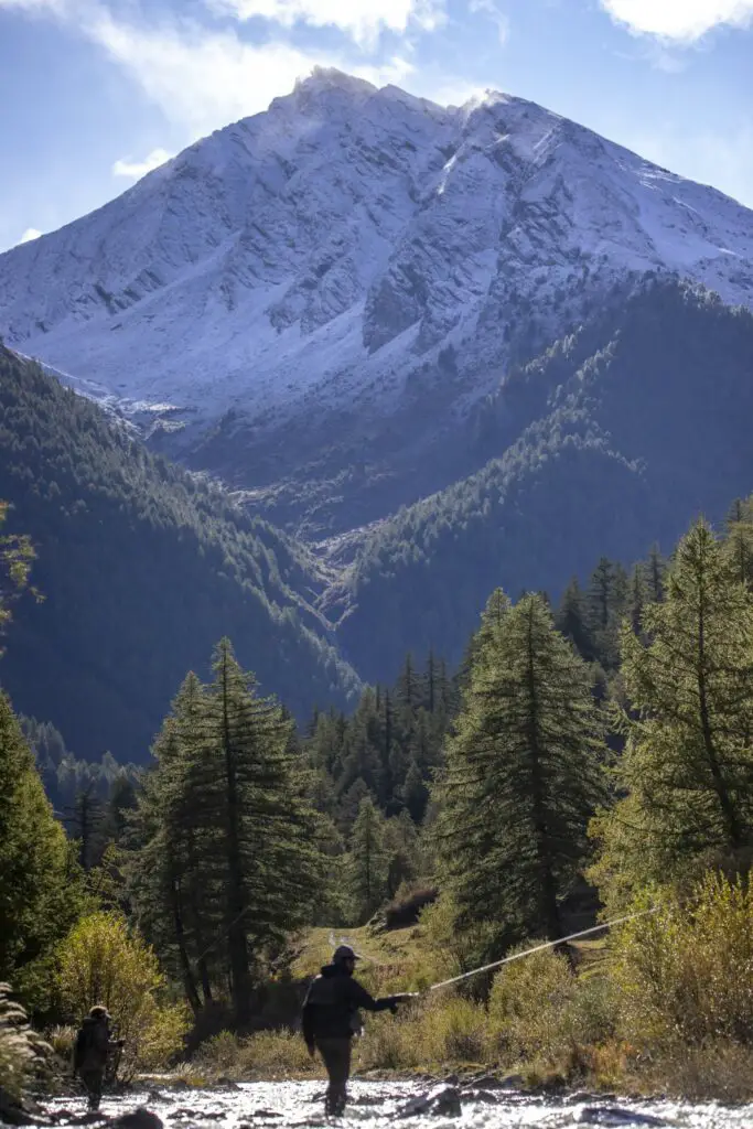 Pêche à la mouche sur le Guil dans le Queyras