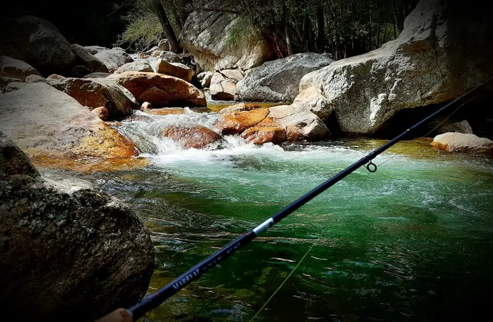 Pêche à la nymphe dans les ruisseau du Caroux avec Nicolas RENOUX