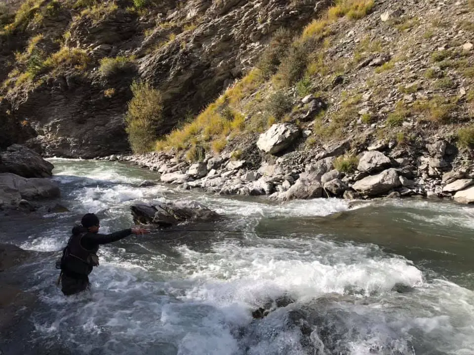 Pierre dans les courants d'eau du Guil