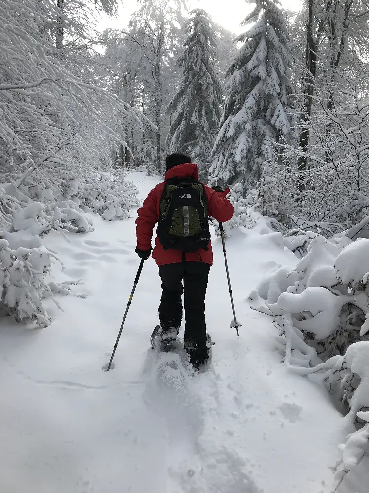 Premier pas dans la neige en raquette à l'aigoual