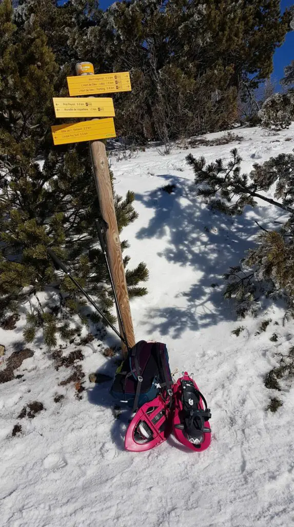 rando raquettes à neige à l'Aigoual