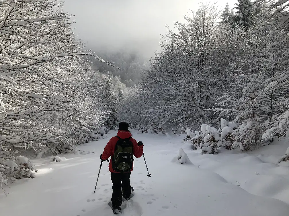 Randonnée en raquette à neige à la montagne du Mont Aigoual l'hiver 