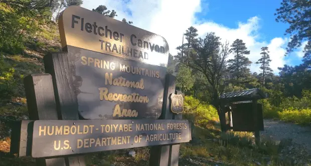 randonnée sur le Fletcher Canyon Trailhead