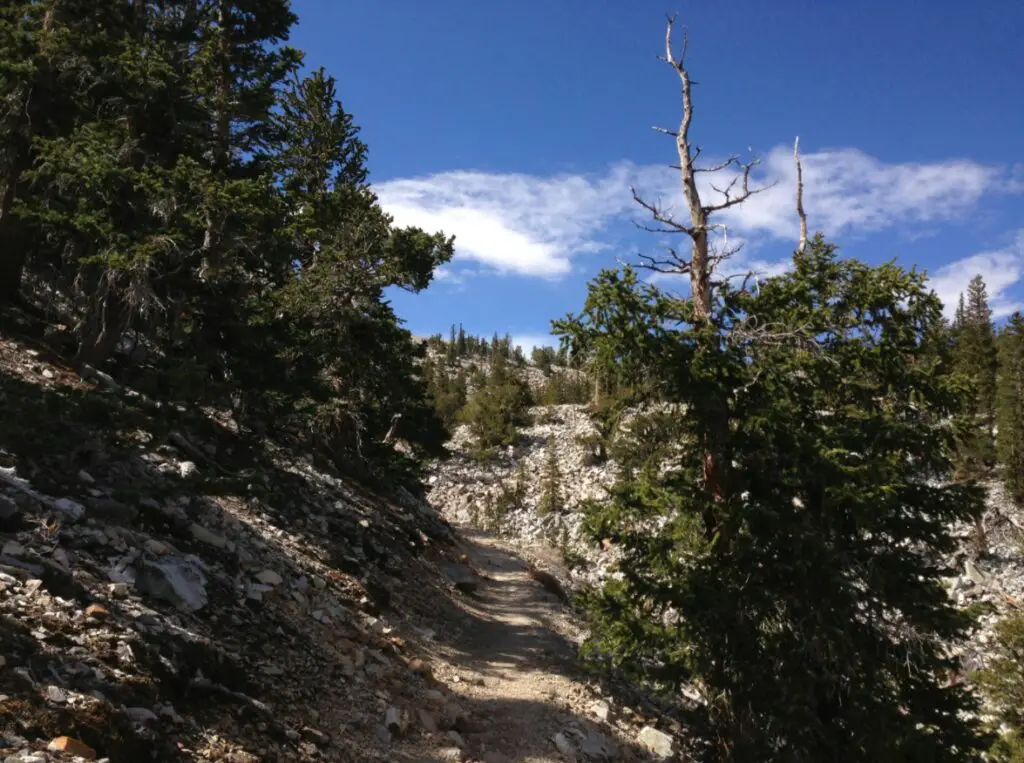 Randonnée sur le Upper Bristlecone Trail Head près de Las Vegas