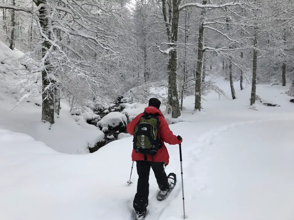 raquette à neige dans le parc des cevennes