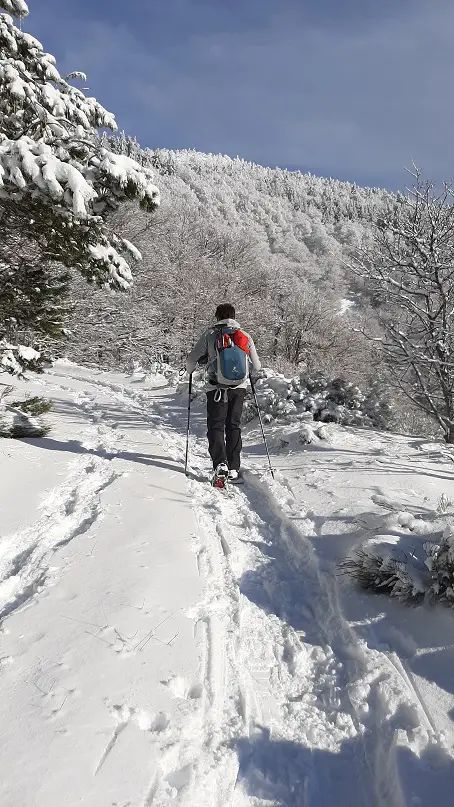 raquette à neige dans le parc national des Cévennes