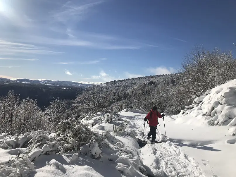 raquette à neige dans un paysage enneigée du parc des cévennes