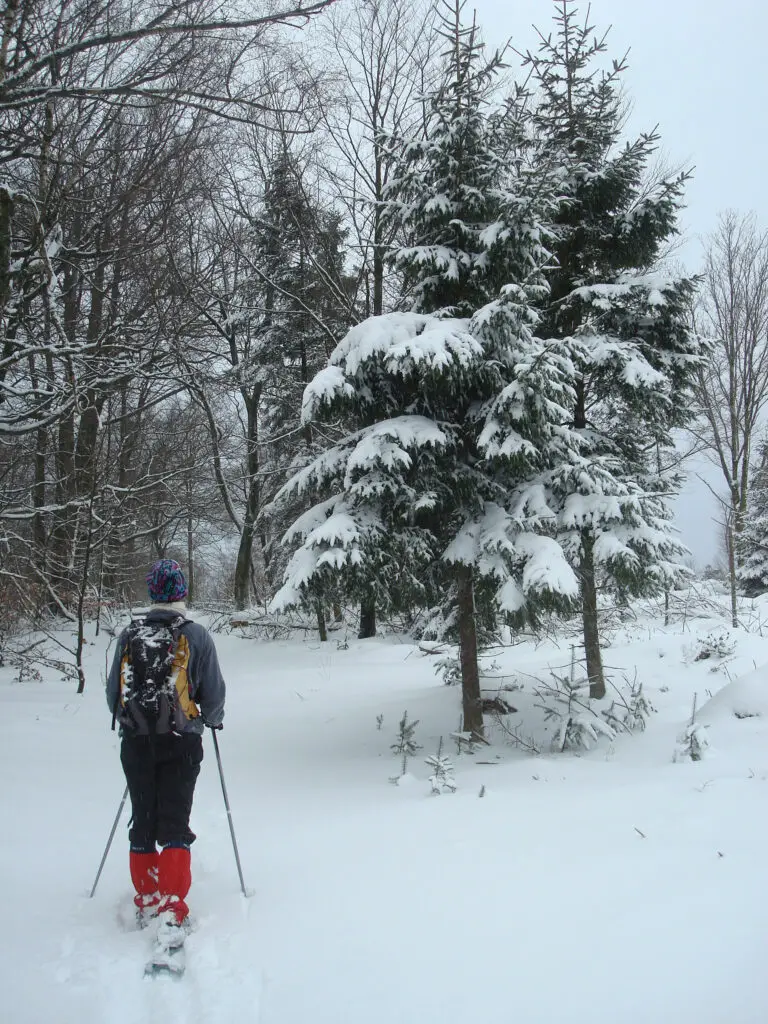 raquettes à neige dans les vosges