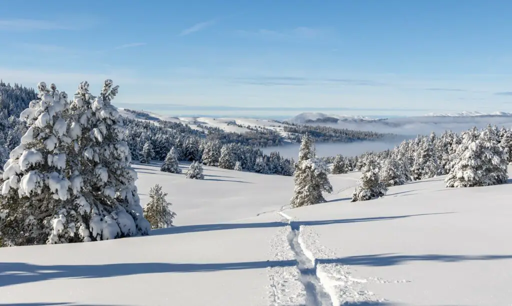 Raquettes à neige sur les Hauts Plateaux du Vercors