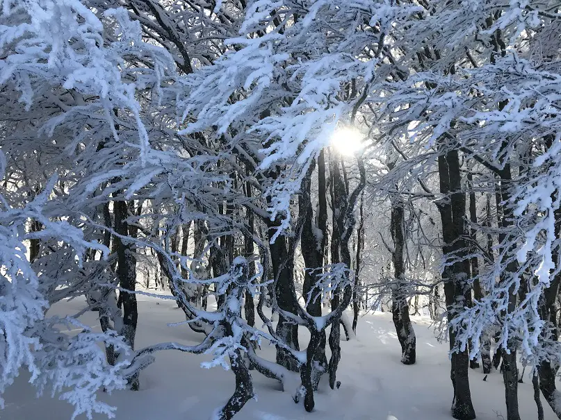 retour à prat peyrot dans un décor hivernal