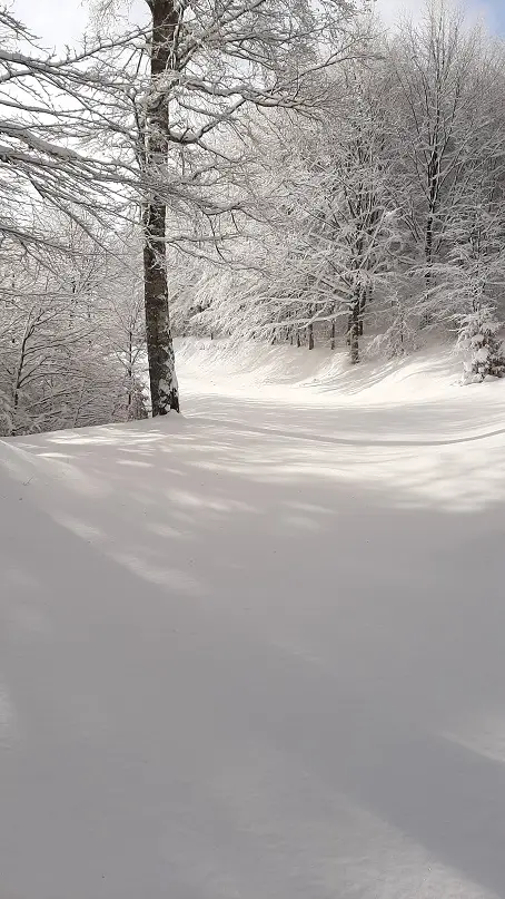 sentier sous la neige sans aucune trace au Mont aigoual