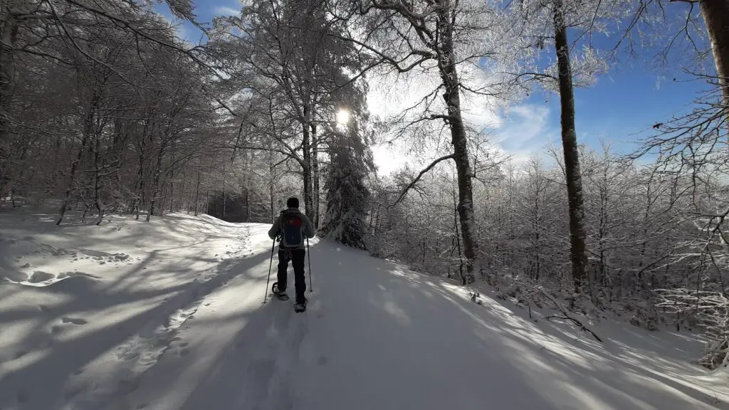 Sortie raquette à neige au Mont Aigoual à la journée