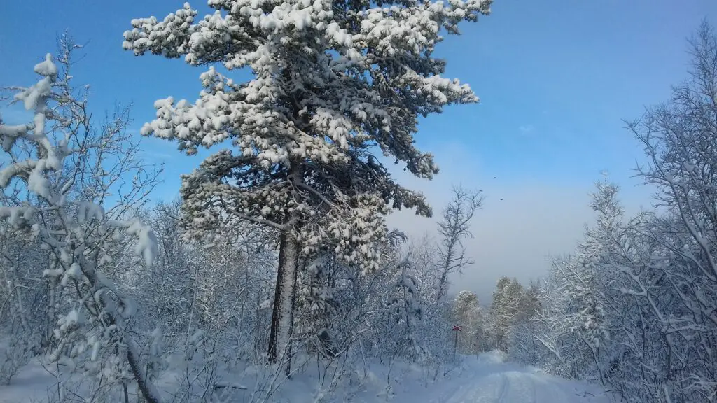 Sur la route enneigée vers Kurravaara