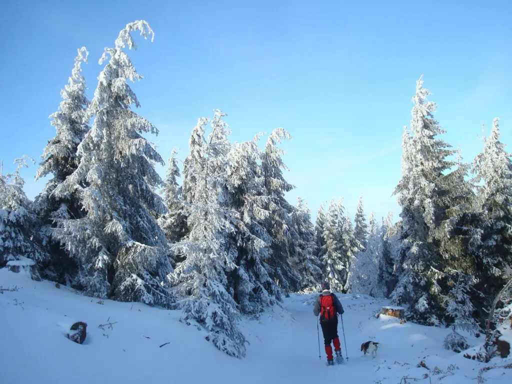 Test raquettes à neige dans le massif des vosges