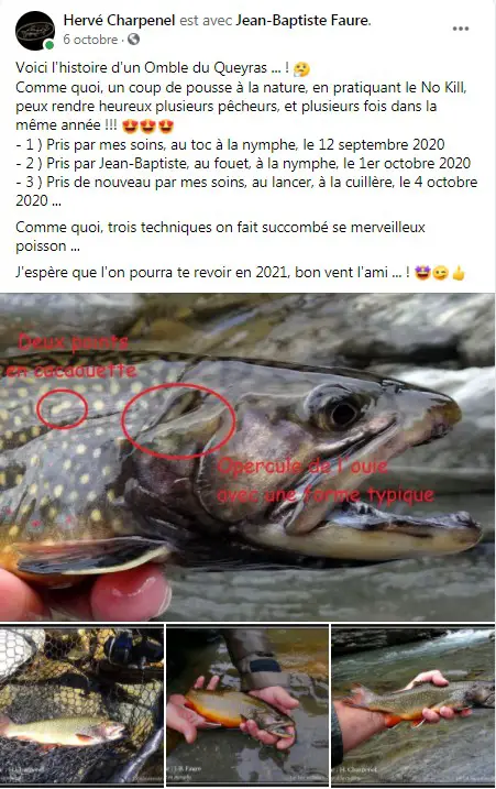 un saumon de fontaine pris 3 fois sur le guil en peu de temps