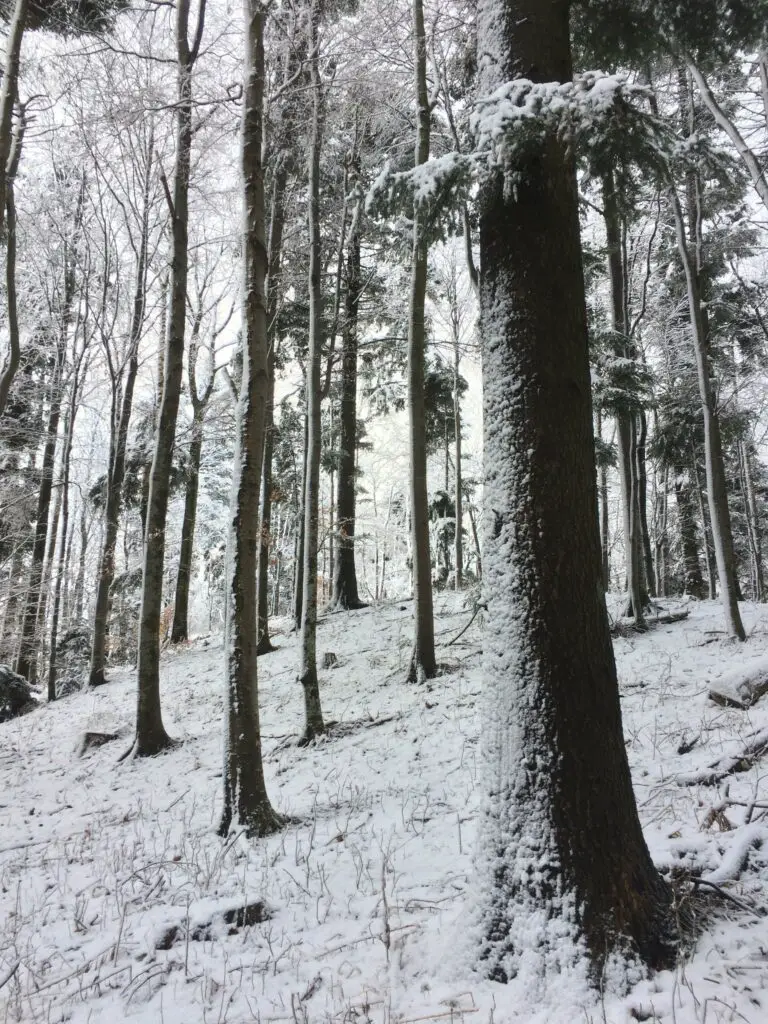 visiter les charmes de la croatie en janvier durant l'hiver