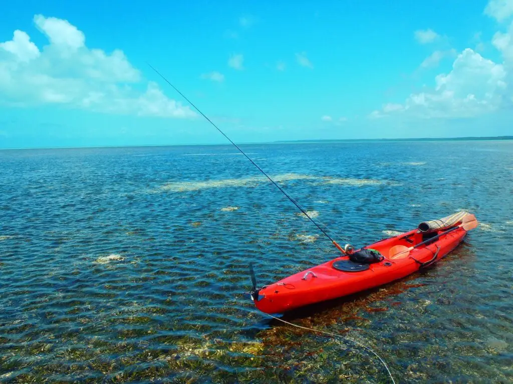 pêche à la mouche en Kayak de mer à zanzibar 