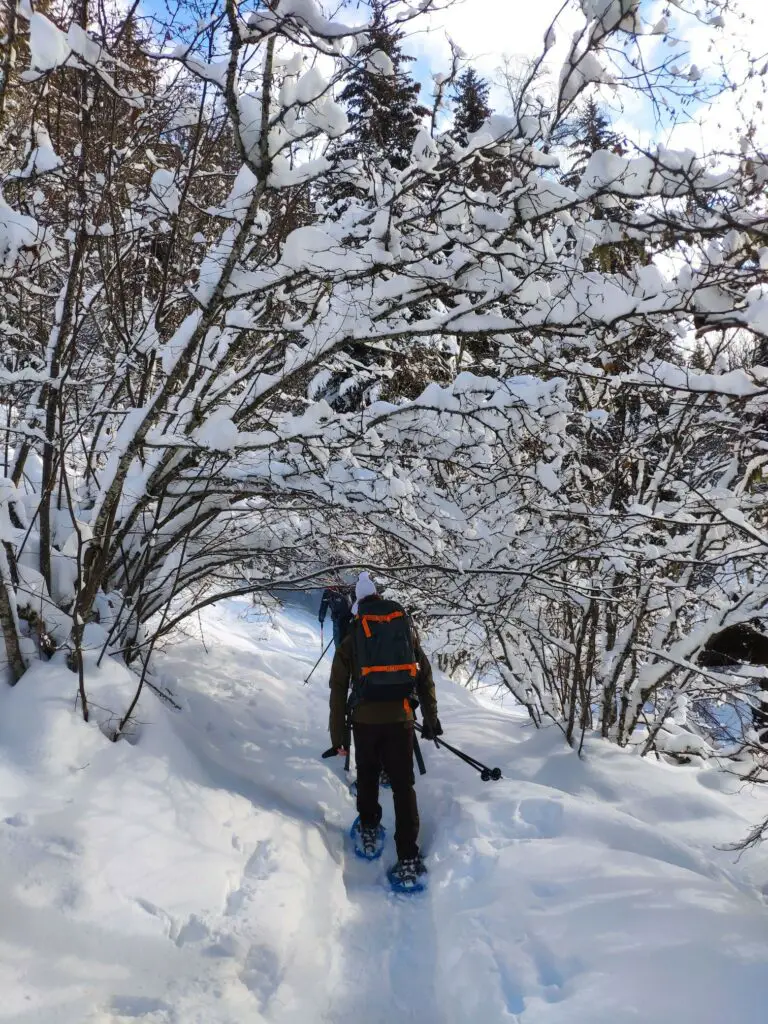 Sortie raquettes à neige avec TSL 438 à chamonix dans le Massif du Mont-blanc