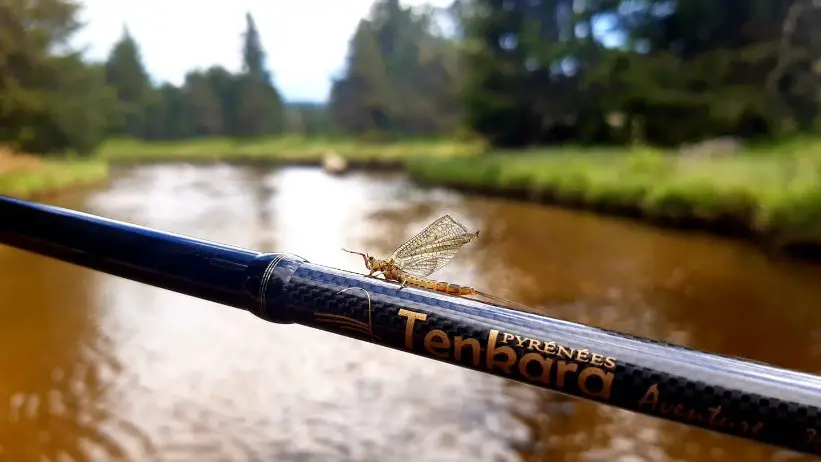 Tenkanyon le projet de Nicolas RENOUX guide de pêche sur l'Hérault