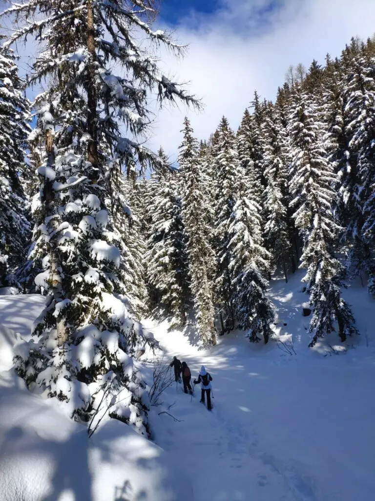 Test raquette à neige TSL par guide Accompagnateur montagne