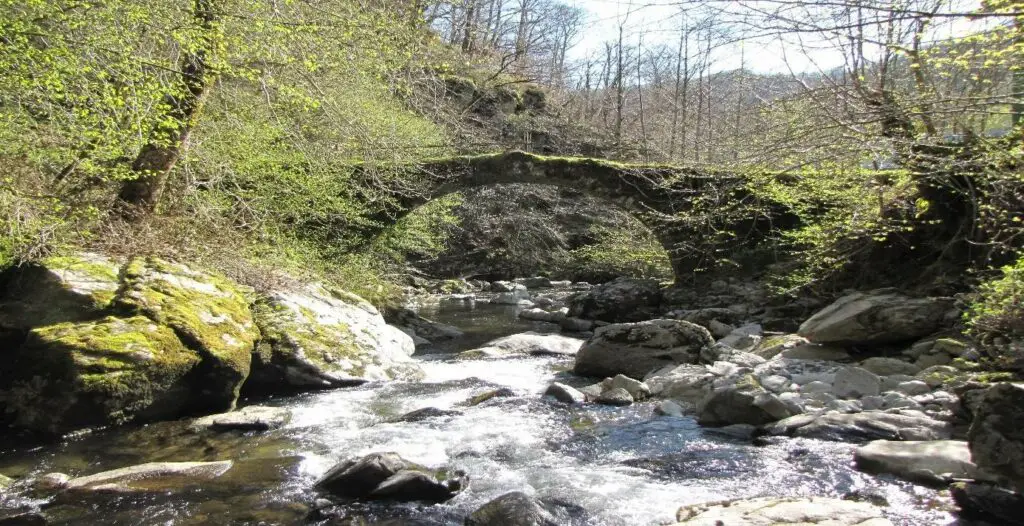 Boralde de Flaujac pour apprendre la pêche à la mouche