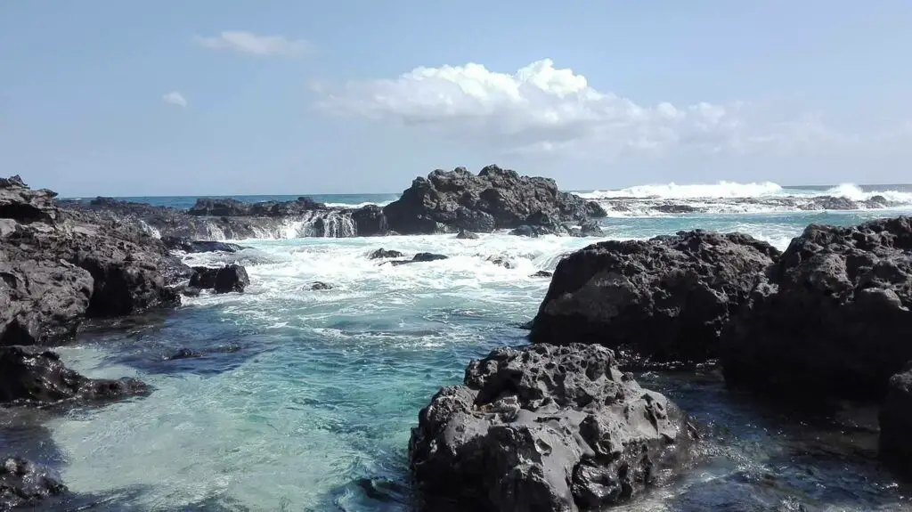 la pointe au sel à saint leu sur l'ile de la reunion