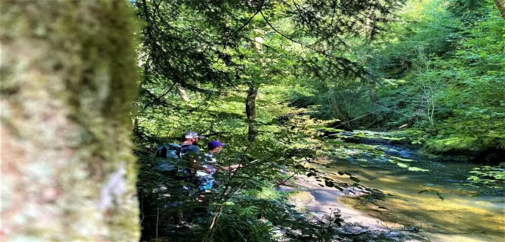 Stage Ados de pêche à la mouche avec Julien sur les sources de la Dordogne dans le  Puy-de-Dôme