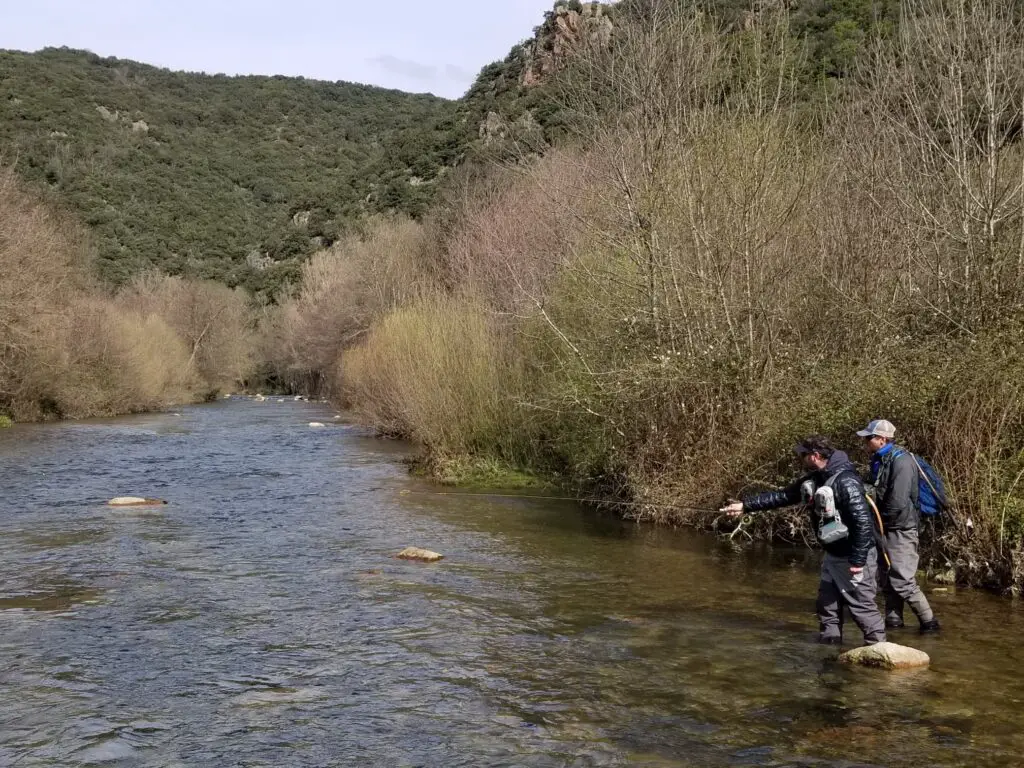 Découvrir la technique de la nymphe durant un stage de pêche à la mouche sur l'Orb dans l'hérault