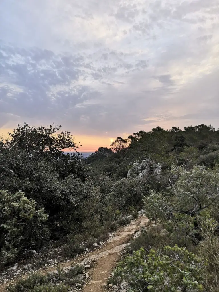 Lever de soleil sur le Causse près de l'hortus