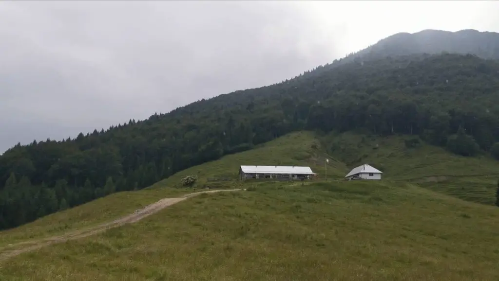 malga dauda via alpina jaune