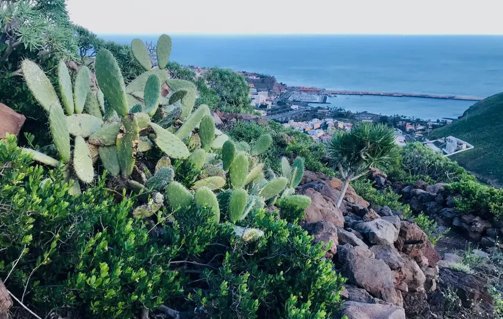 port de San Sébastian de la Gomera