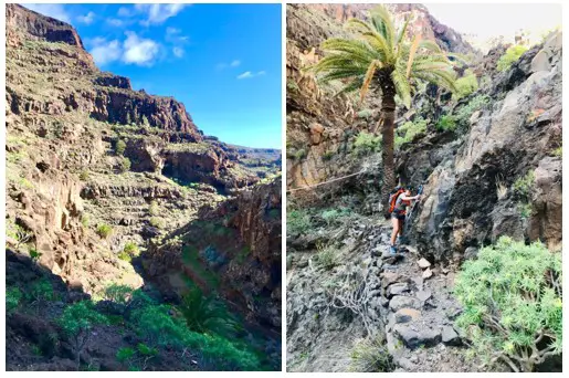 Randonnée dans joli canyon de la Goméra sur les iles des Canaries