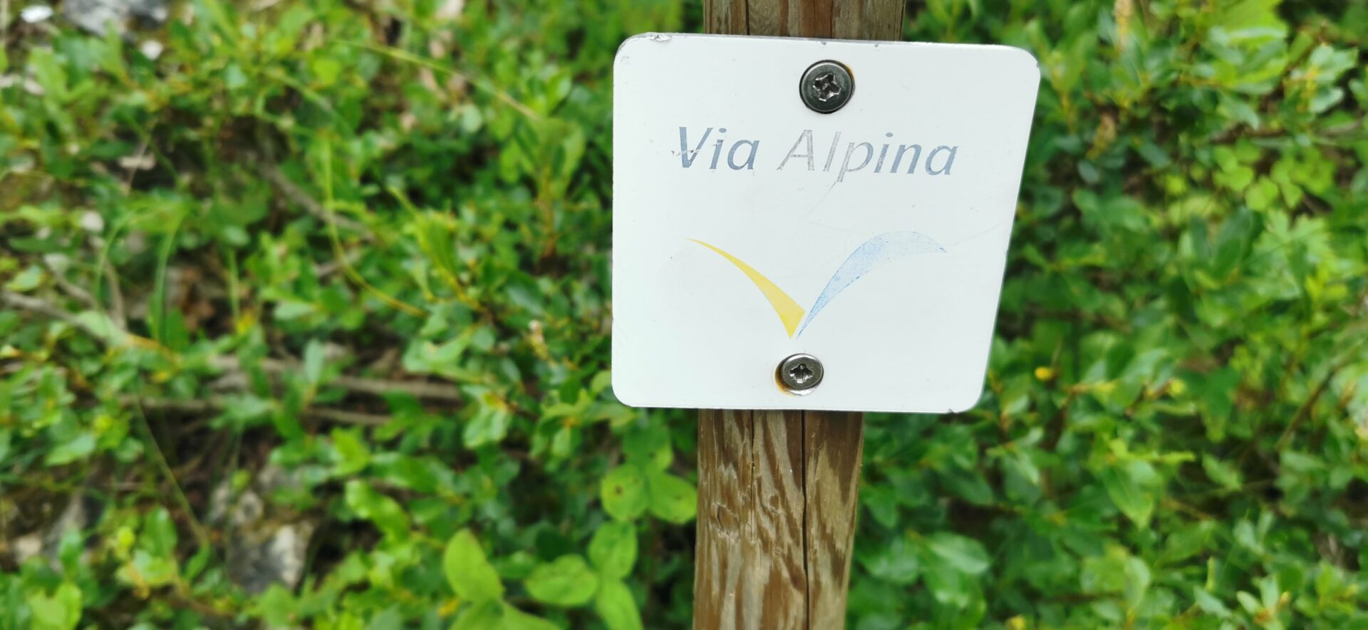 Via Alpina Suisse Travers e Pieds De 390km Entre Sargans Montreux