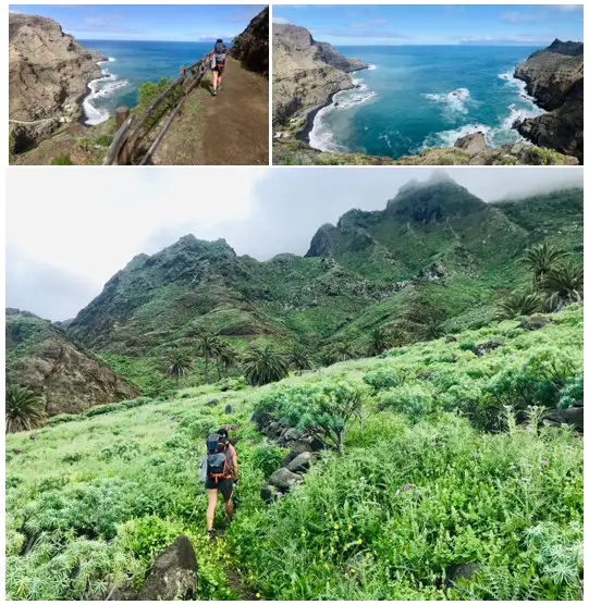 Trekking dans une ambiance de végétation verdoyante aux canaries