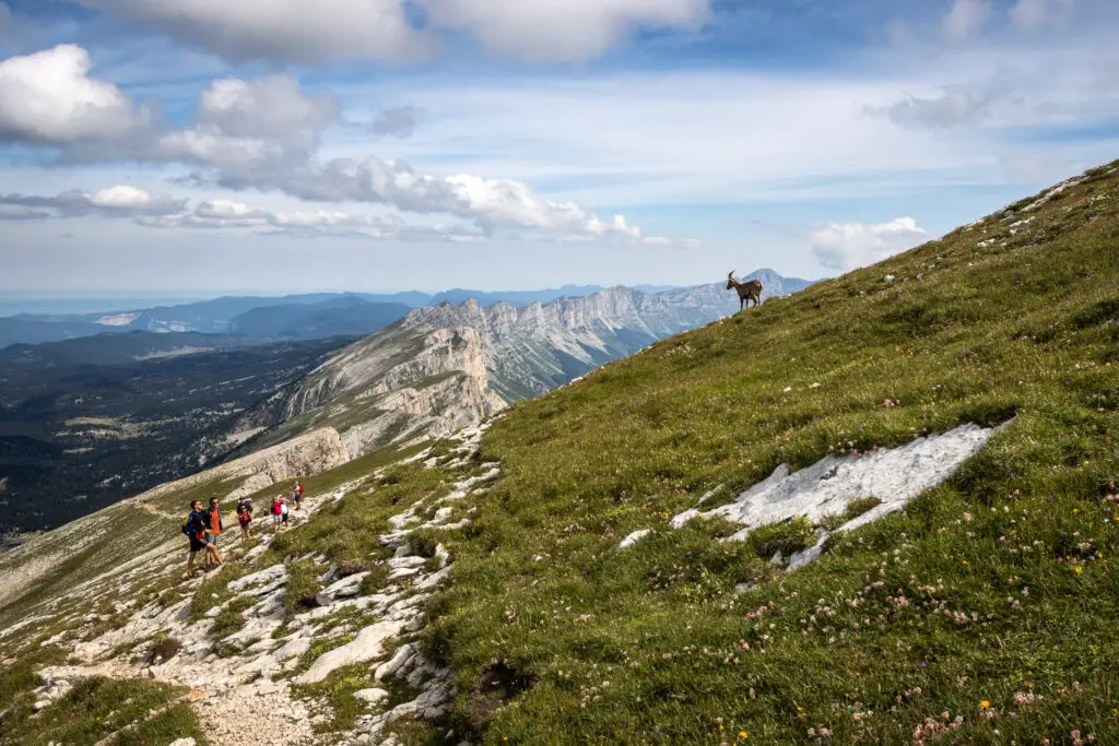 Agence de voyages spécialisés dans les séjours itinérants - Grand Angle