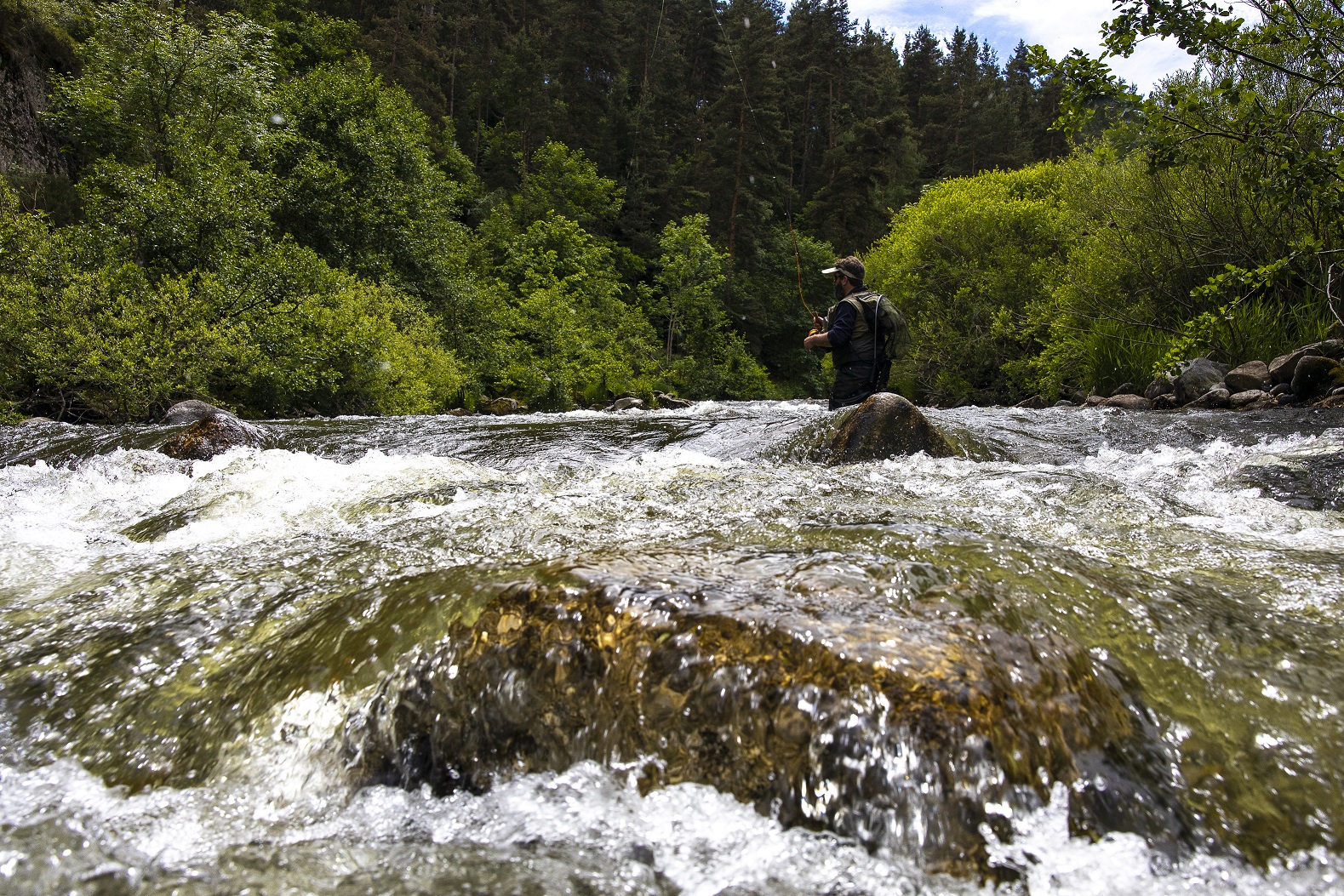 PECHE EN PLAN D'EAU DE 8 HECTARES: Autour de l'eau France, Pays de la Loire