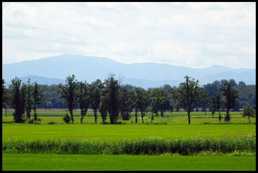 Paysage au sud de Pavie en Italie