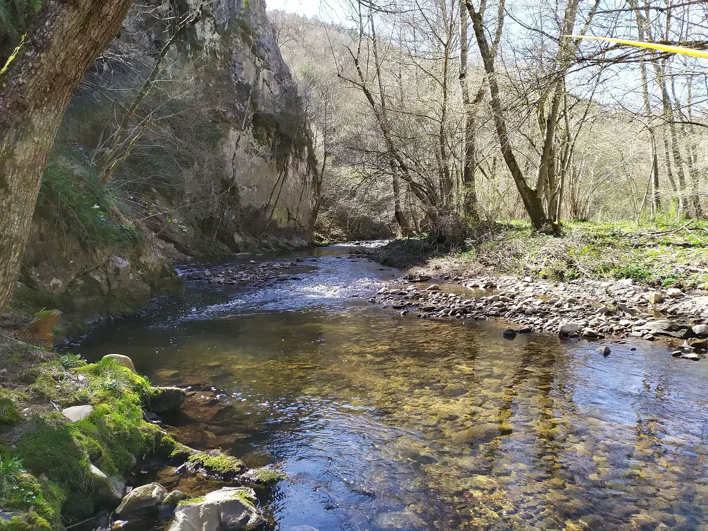 Pêche à la mouche sur la Desges sur le bassin de la Margeride à l'ance du Sud