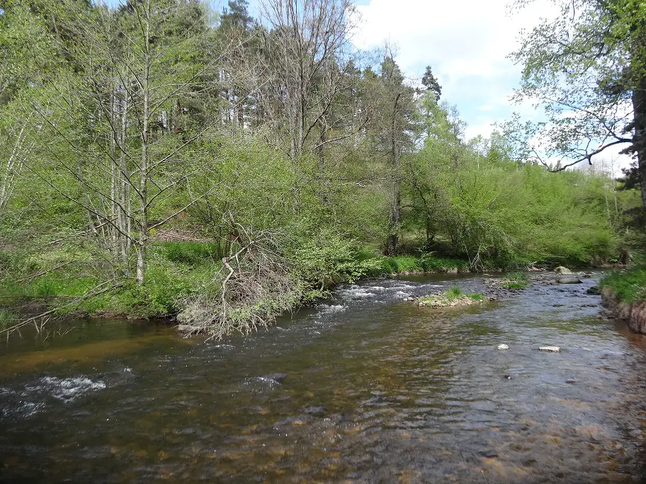 Pêche à la mouche sur la Seuge à l'ance du Sud sur le bassin de la Margeride