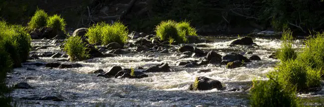 Pêche en Haute-Loire près du Mezenc