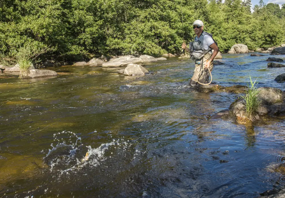 Steeve COLIN Moniteur Guide de pêche à la mouche en Haute-Loire