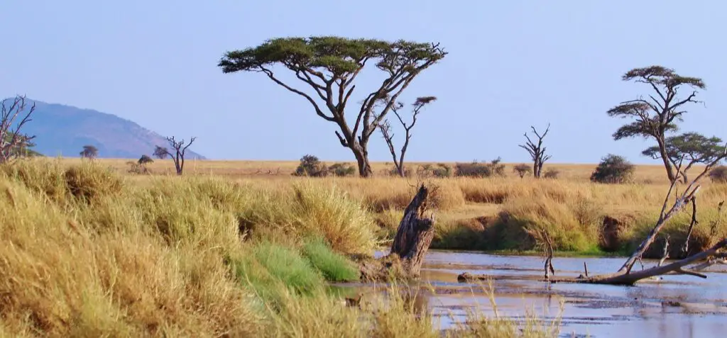 La Tanzanie magnifique destination de voyage à découvrir en juin