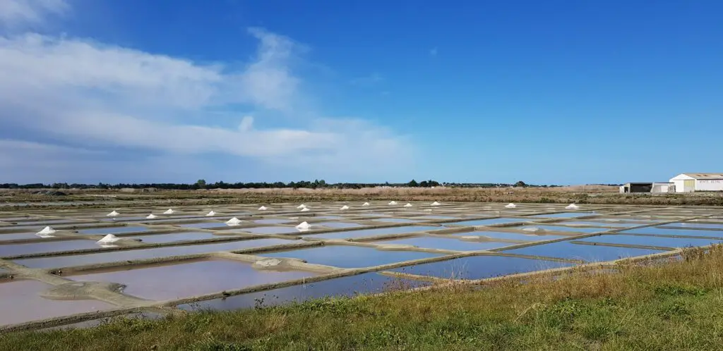 noirmoutier véloroute 1 