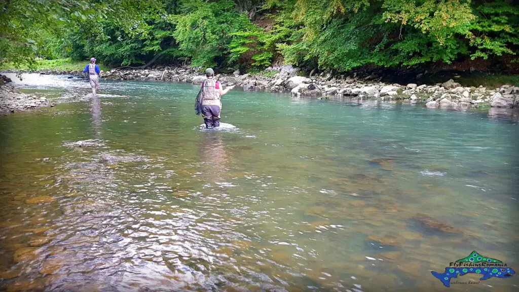 pêche à la mouche dans la Valley of Hell en Roumanie