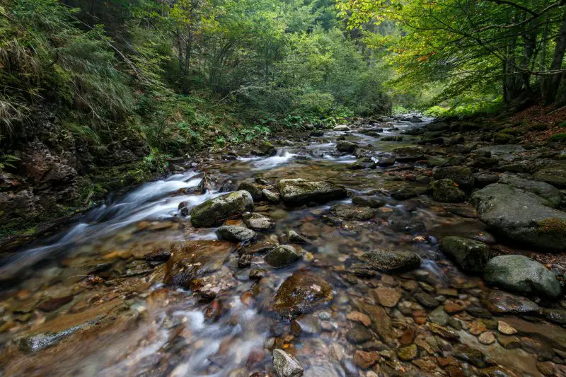 Pêche à la mouche dans une rivière de la vallée de l'enfer en Roumanie