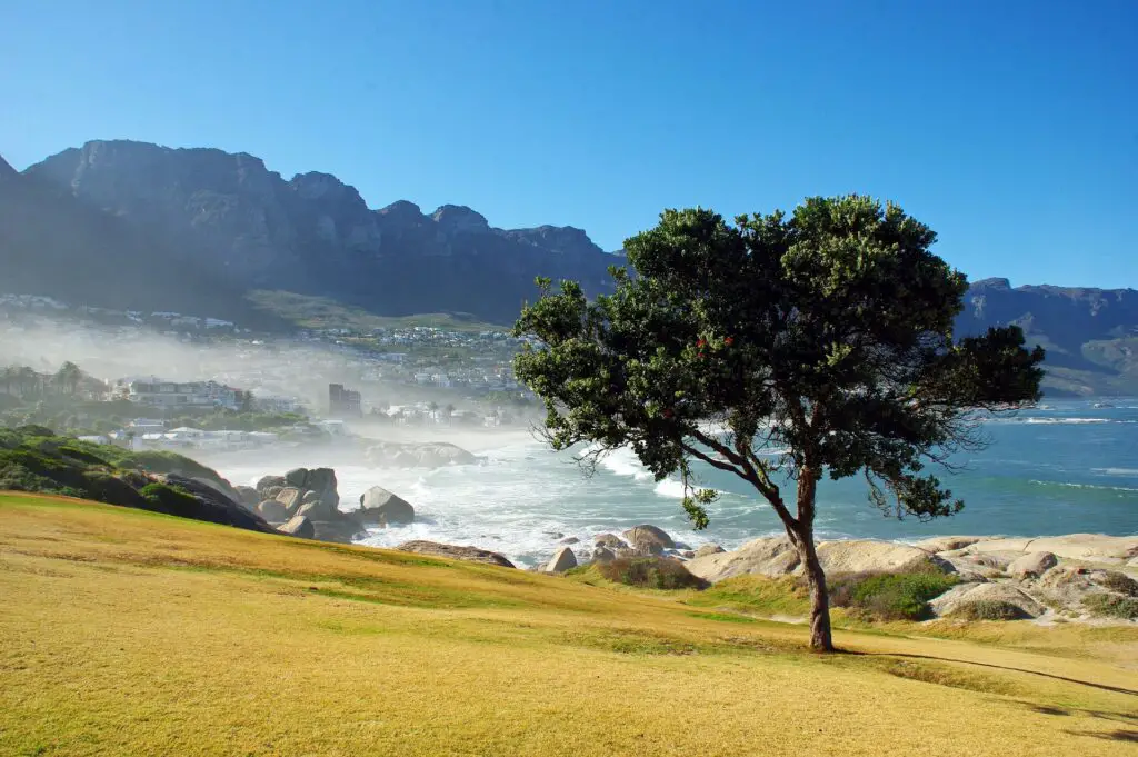 Plage d'afrique du Sud