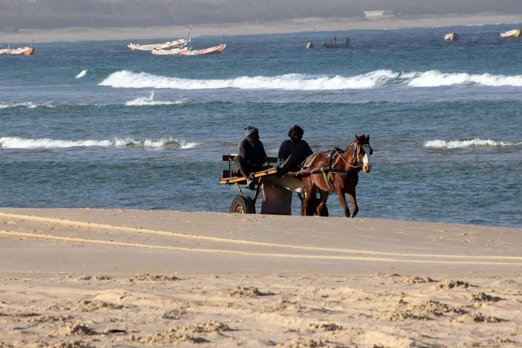 Plage du Sénégal