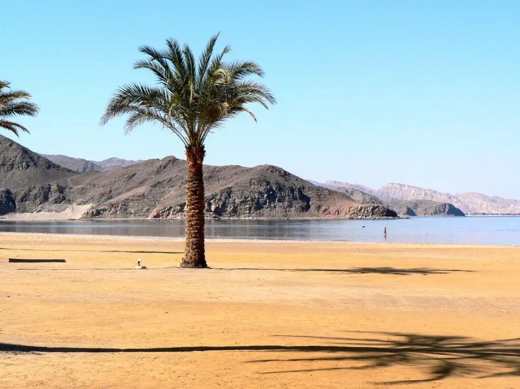 Plage en mer rouge en Egypte