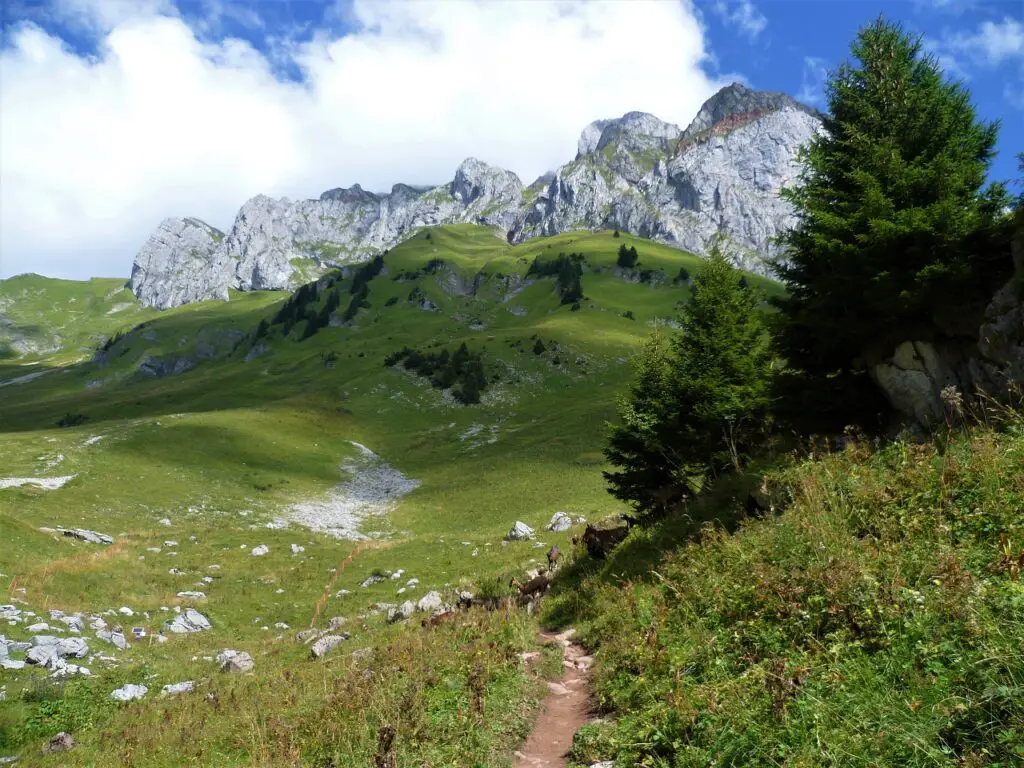 promenade massif chablais cornettes bise