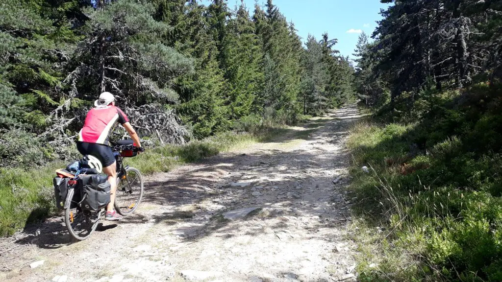 A vélo dans les forêts de Haute-Loire